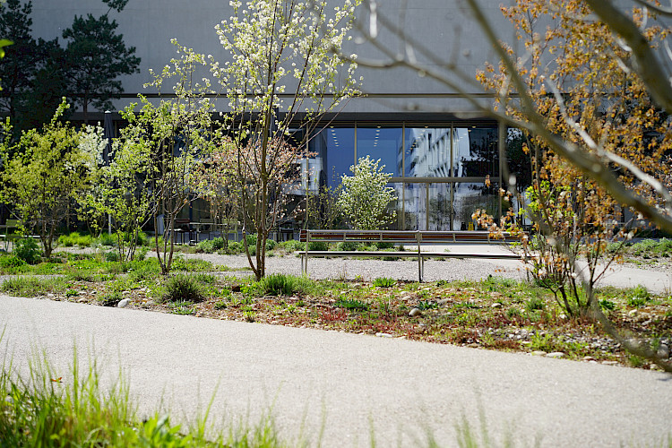 Roche Zentraler Park