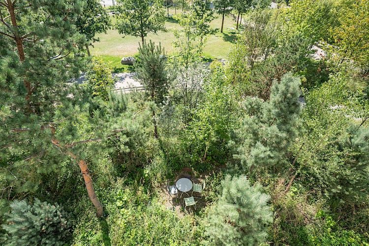 Roche Zentraler Park