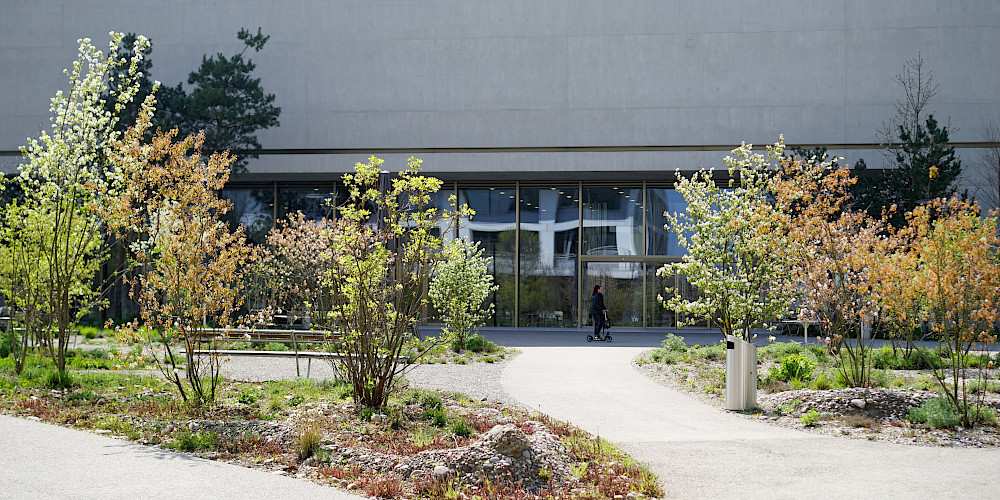 Roche Zentraler Park