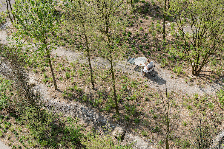 Roche Zentraler Park