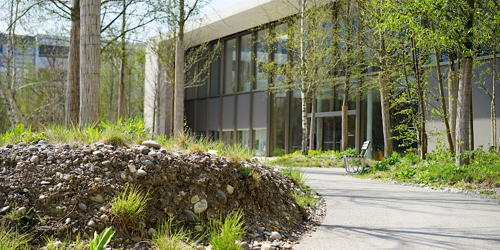 Roche Zentraler Park