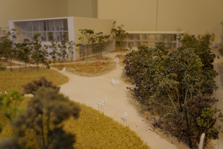 Roche Zentraler Park