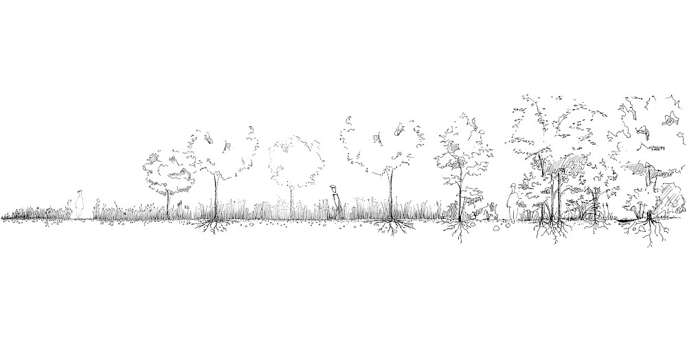 Roche Zentraler Park