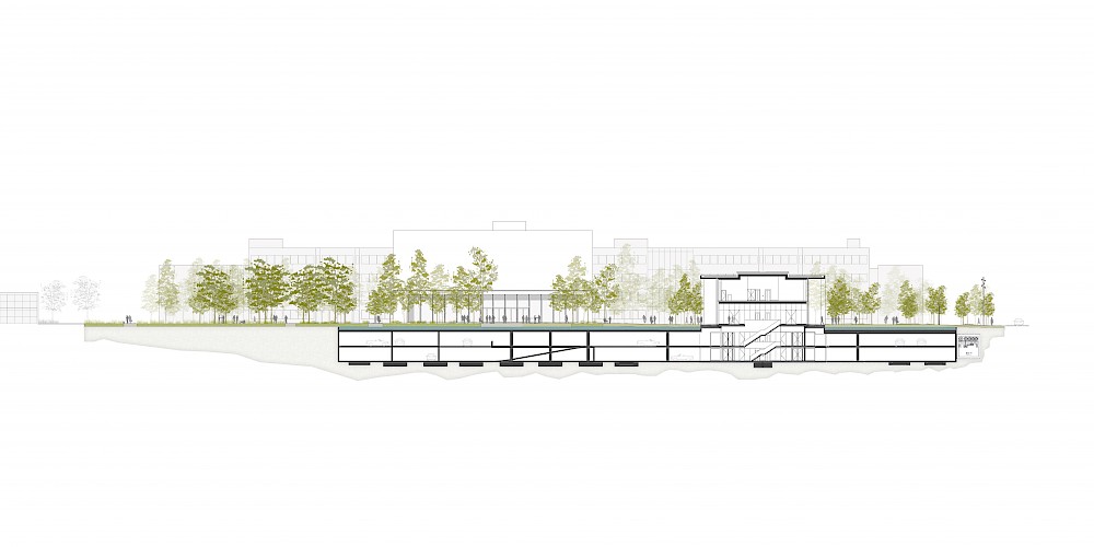 Roche Zentraler Park