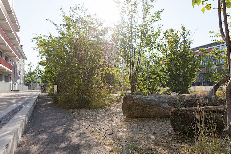 Schulhaus Lysbüchel