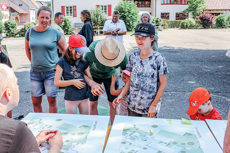Entwicklung Hochwald