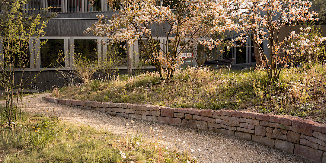 Landschaftsarchitekt:in mit Interesse im Bereich Ausführung