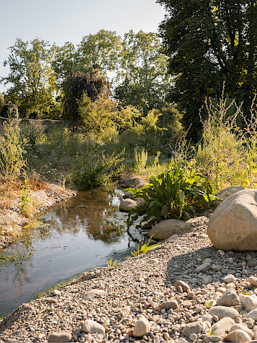 AKTUELL: Parkpflege als Prozess