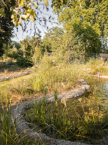 AKTUELL: Parkpflege als Prozess