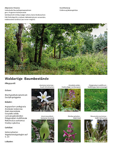 AKTUELL: Parkpflege als Prozess