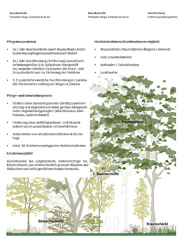 AKTUELL: Parkpflege als Prozess