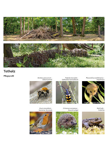 AKTUELL: Parkpflege als Prozess
