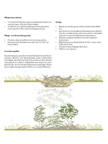 AKTUELL: Parkpflege als Prozess