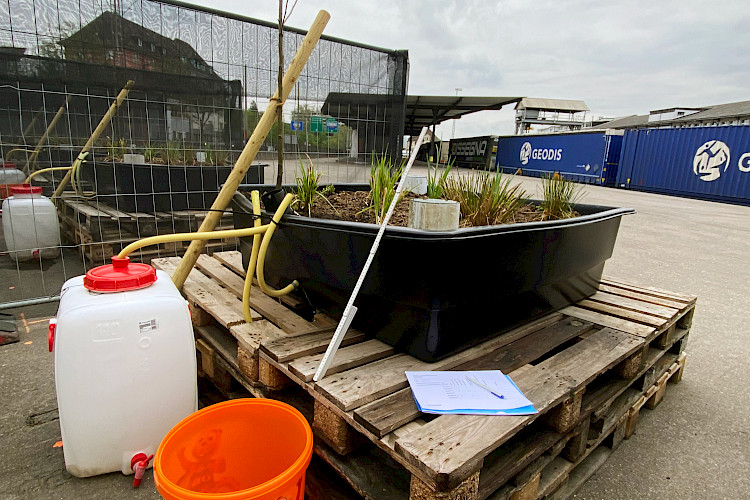 AKTUELL: Versuchsanlage Stadtmoor