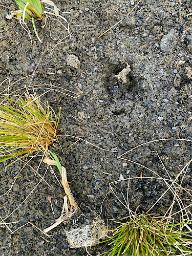 AKTUELL: Versuchsanlage Stadtmoor