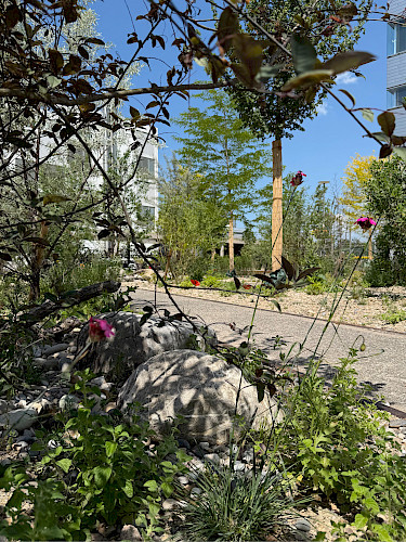 AKTUELL: Entsiegelung Freilager-Platz, Münchenstein