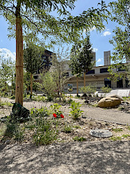 AKTUELL: Entsiegelung Freilager-Platz, Münchenstein