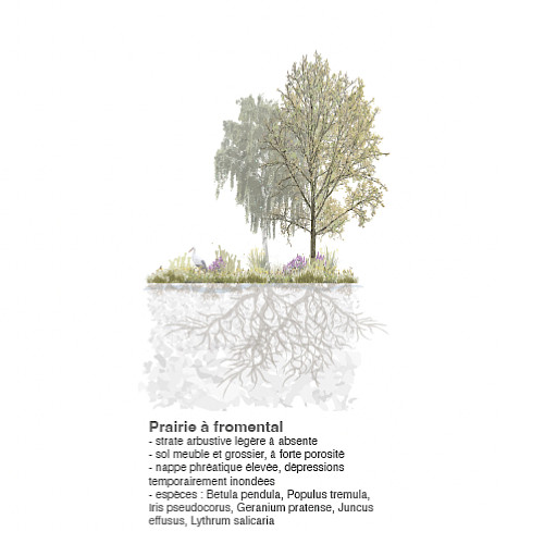 Wettbewerb Sportlandschaft von Bout-du-Monde Genf